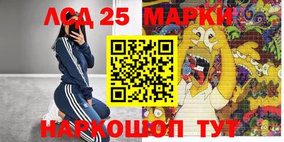 гидра Гай