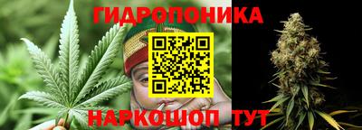 гидра Гай